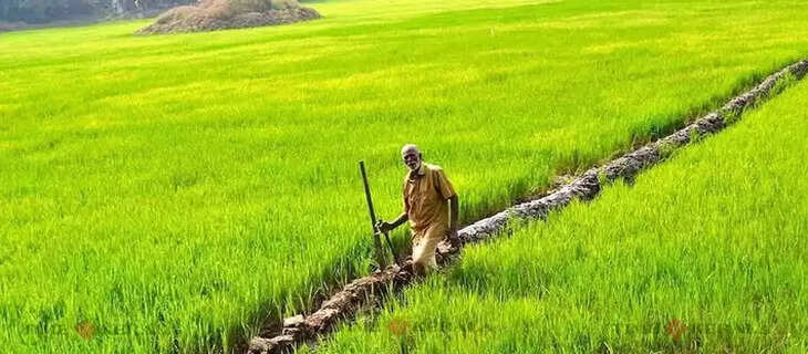 kisan day