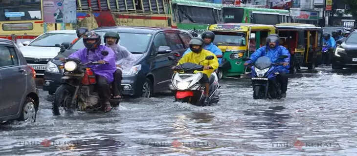 Rain