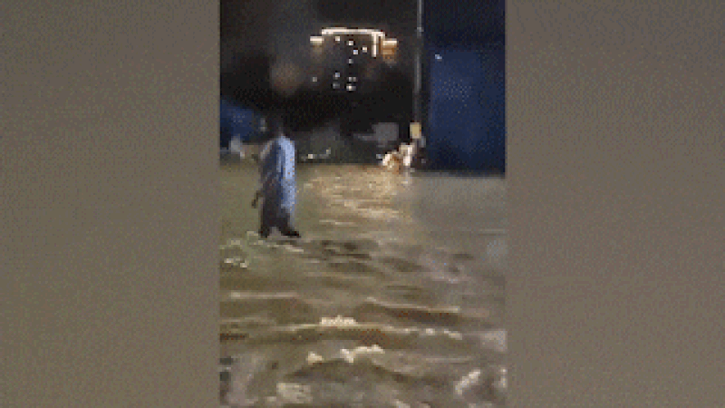 Rain 