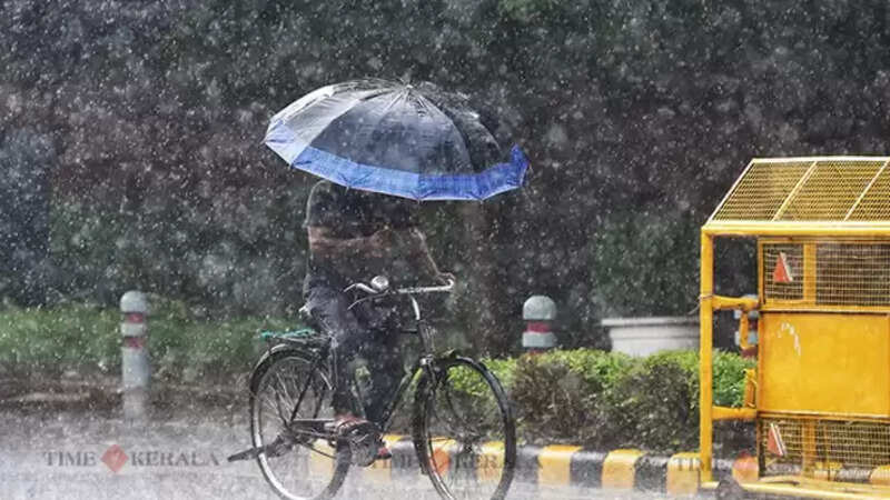 Rain