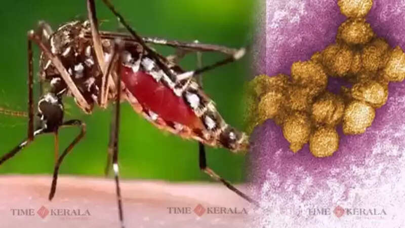 vest nile fever