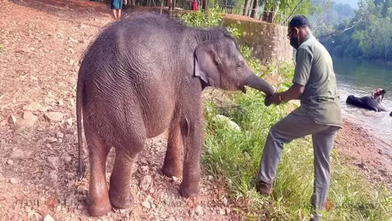 Kerala