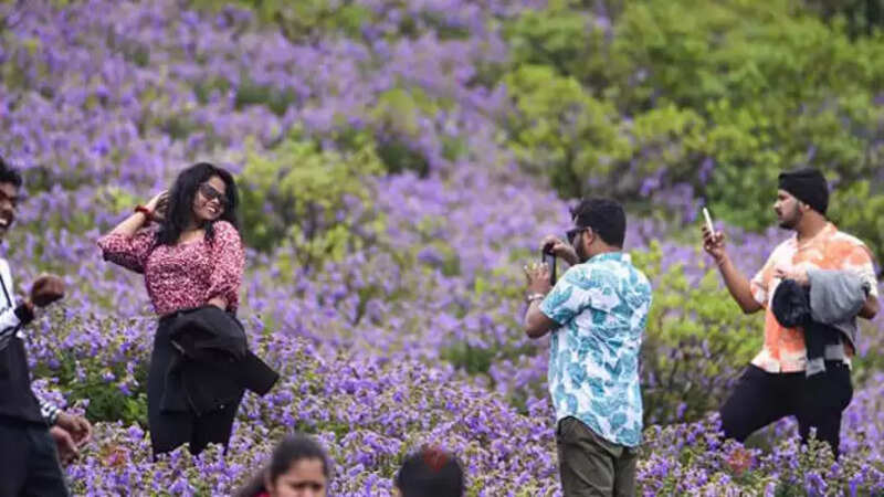 Munnar