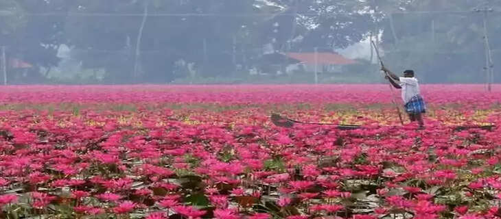 Kerala