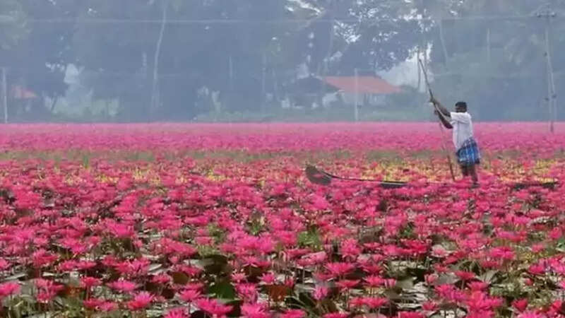 Kerala