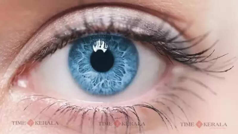 eye