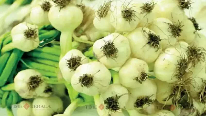 Agriculture