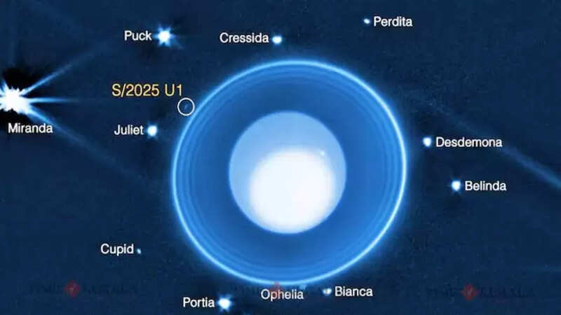 Science