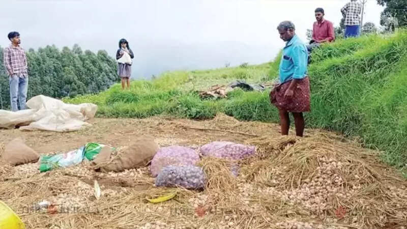 Kerala