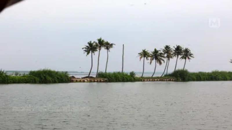 Alappuzha 