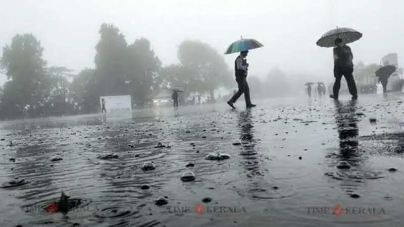 Rain