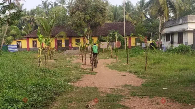 Vaazha