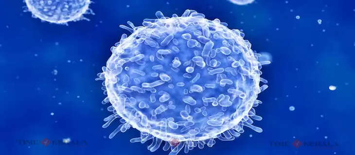 Cell