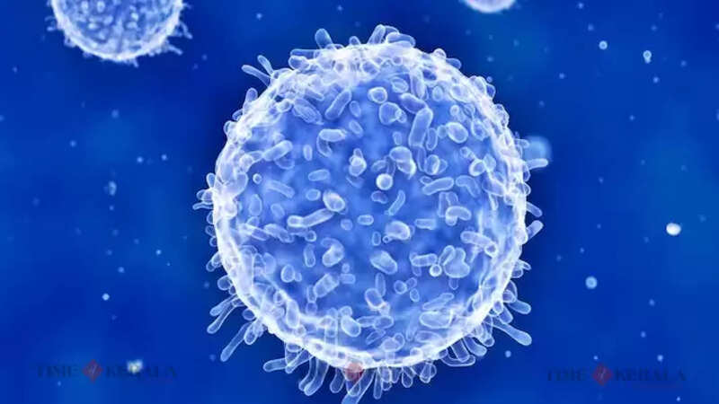 Cell