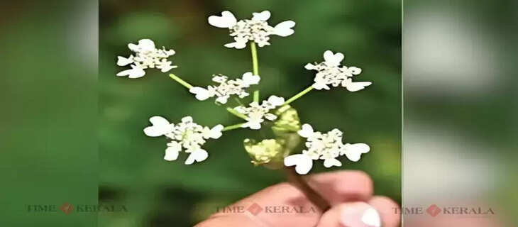 Kerala