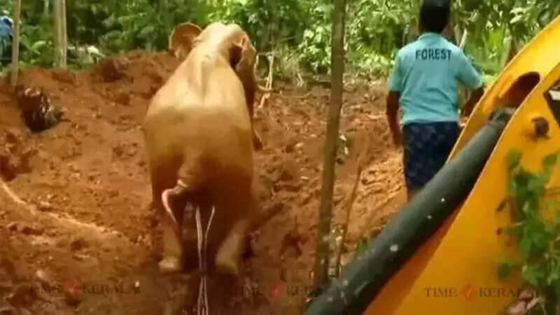 Kerala