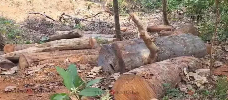 Wayanad
