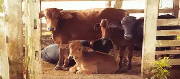 Agri