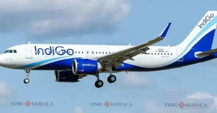 Indigo