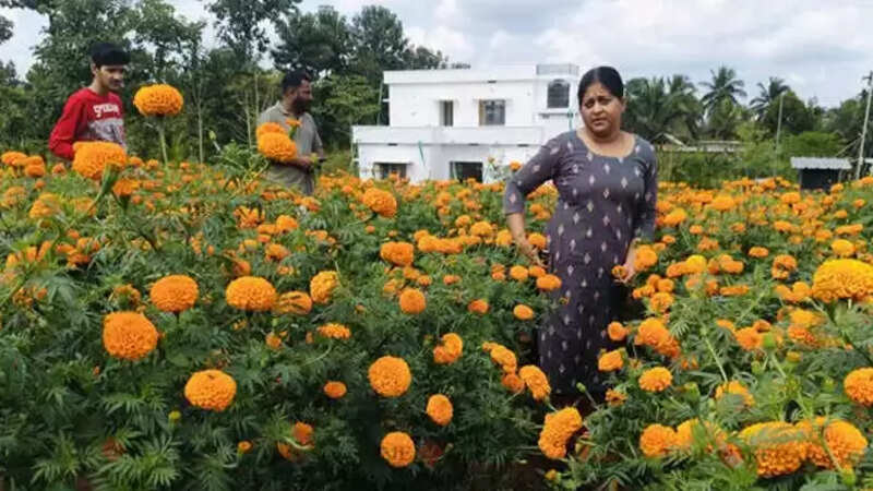 Jamanthi