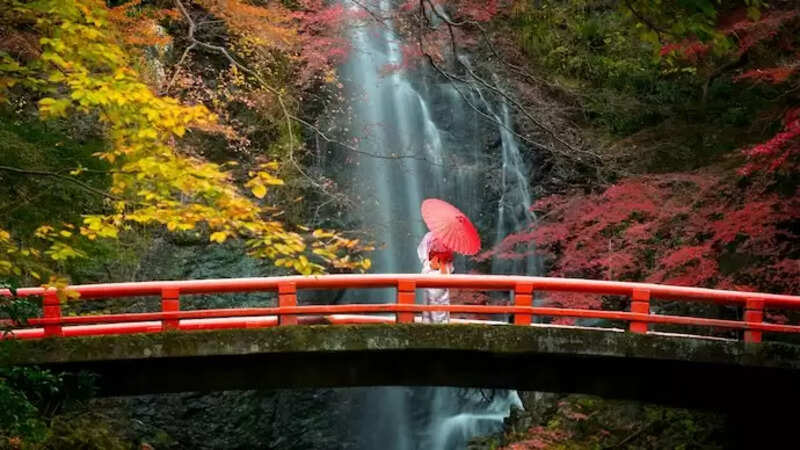 Travel 