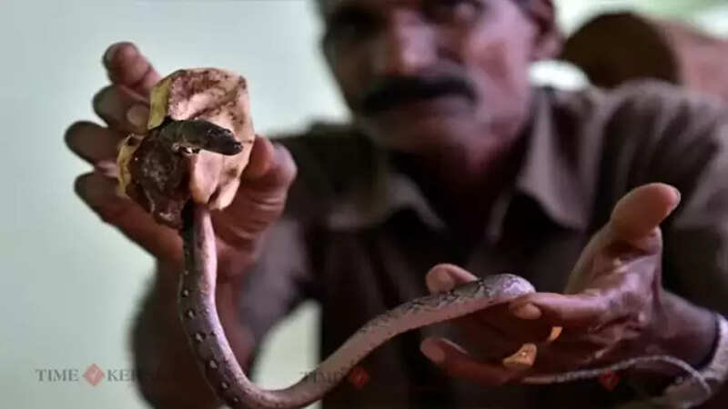 kerala
