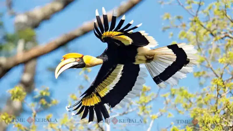 Kerala