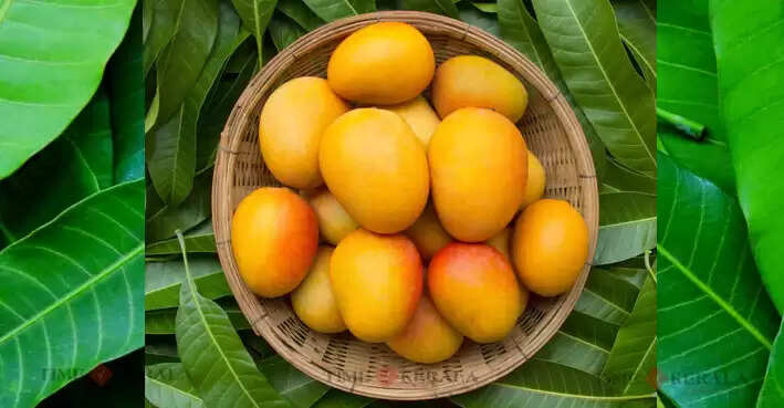 mango