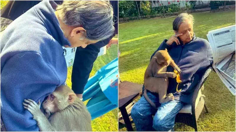 Sasi tharoor 