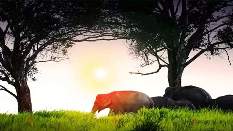 Kerala