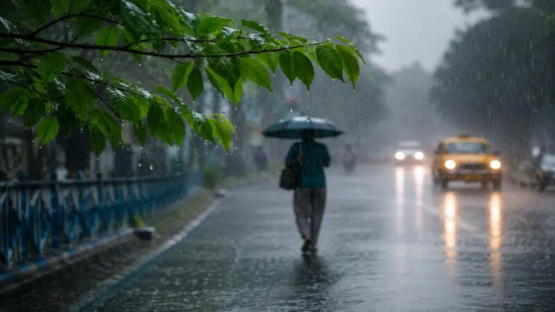 Rain 