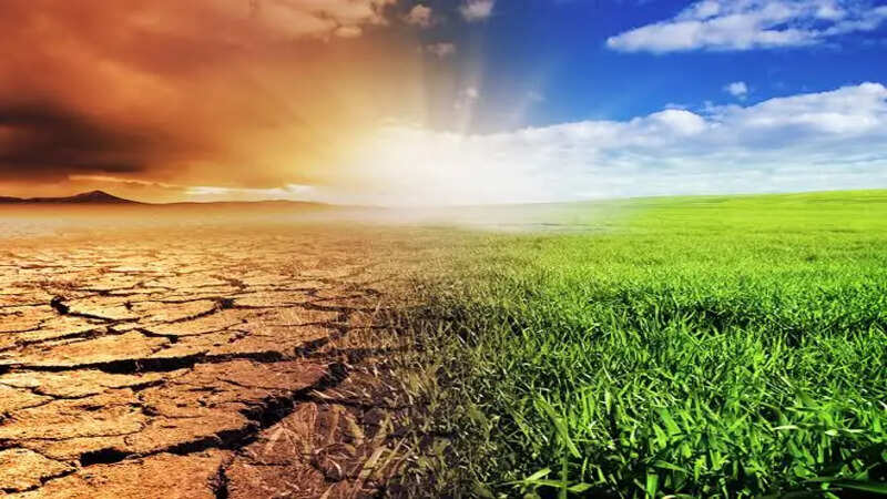 Climate 