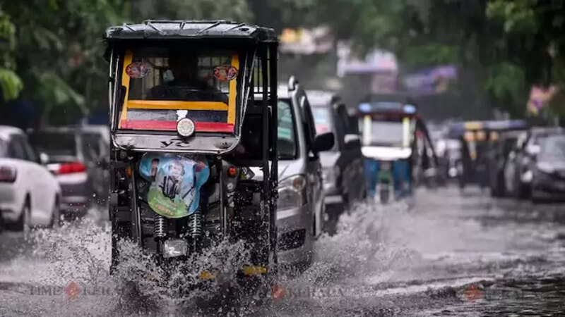 Rain