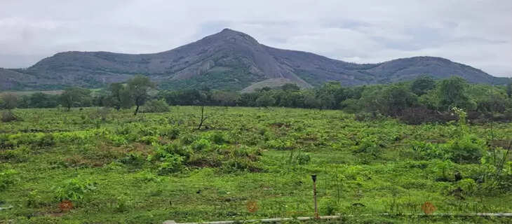 Palakkad