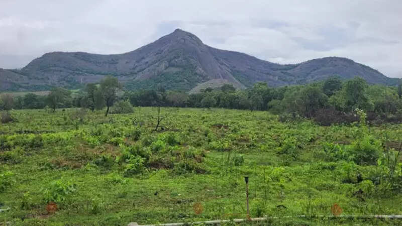Palakkad