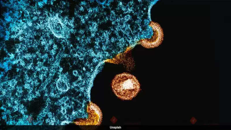Science
