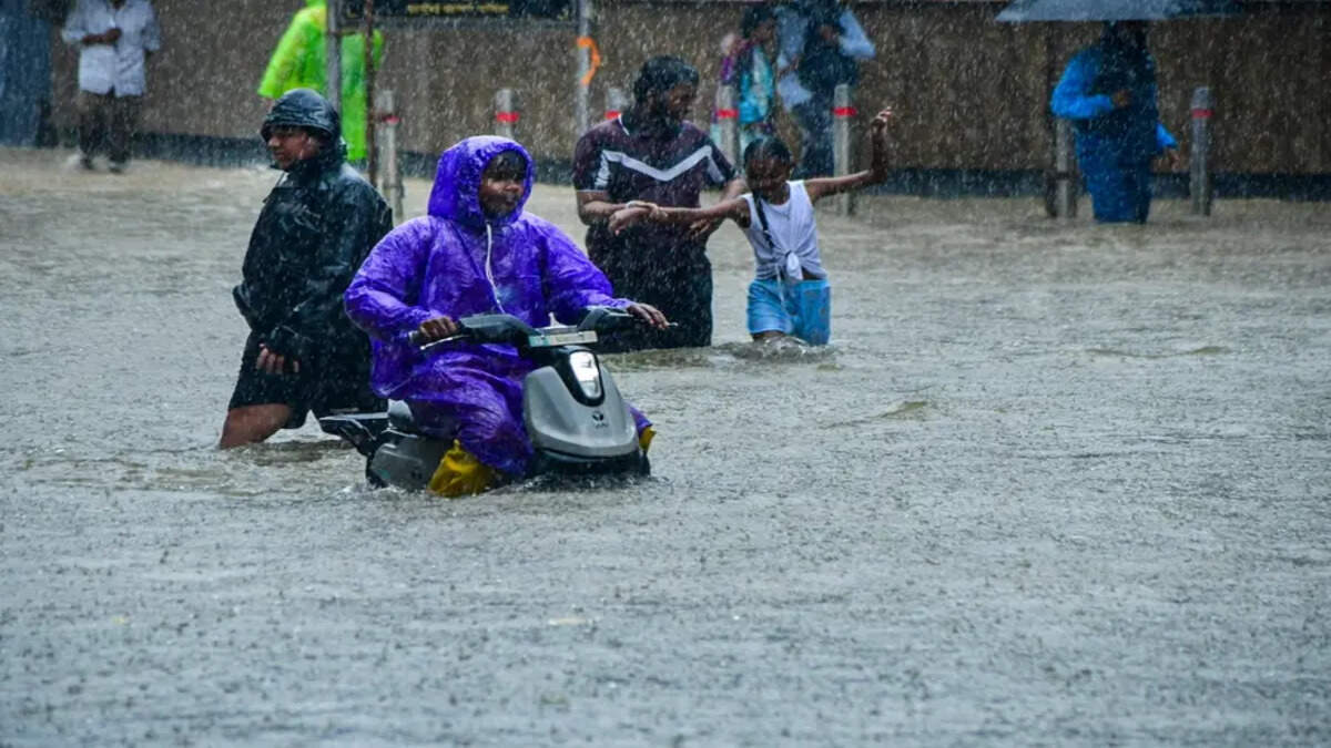 Rain 
