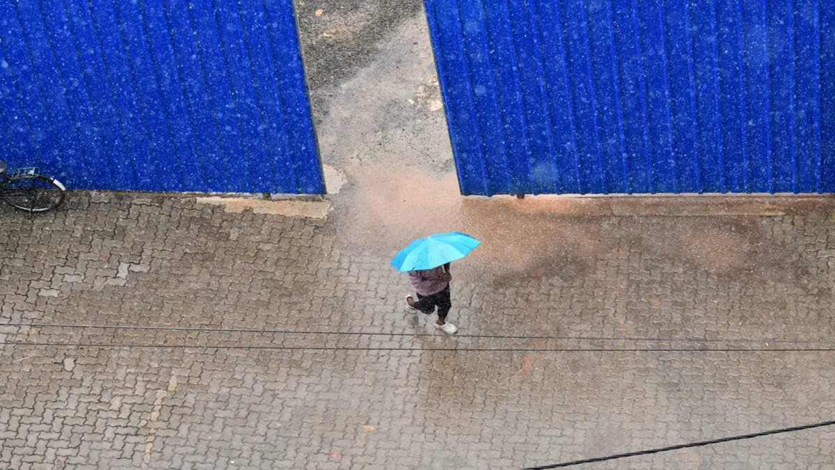 Rain 